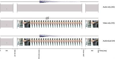 Audiovisual Modulation in Music Perception for Musicians and Non-musicians